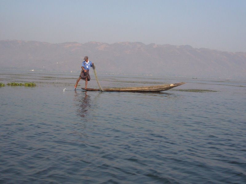 The locals row with their feet while they catch little fishy things that live in the reeds.